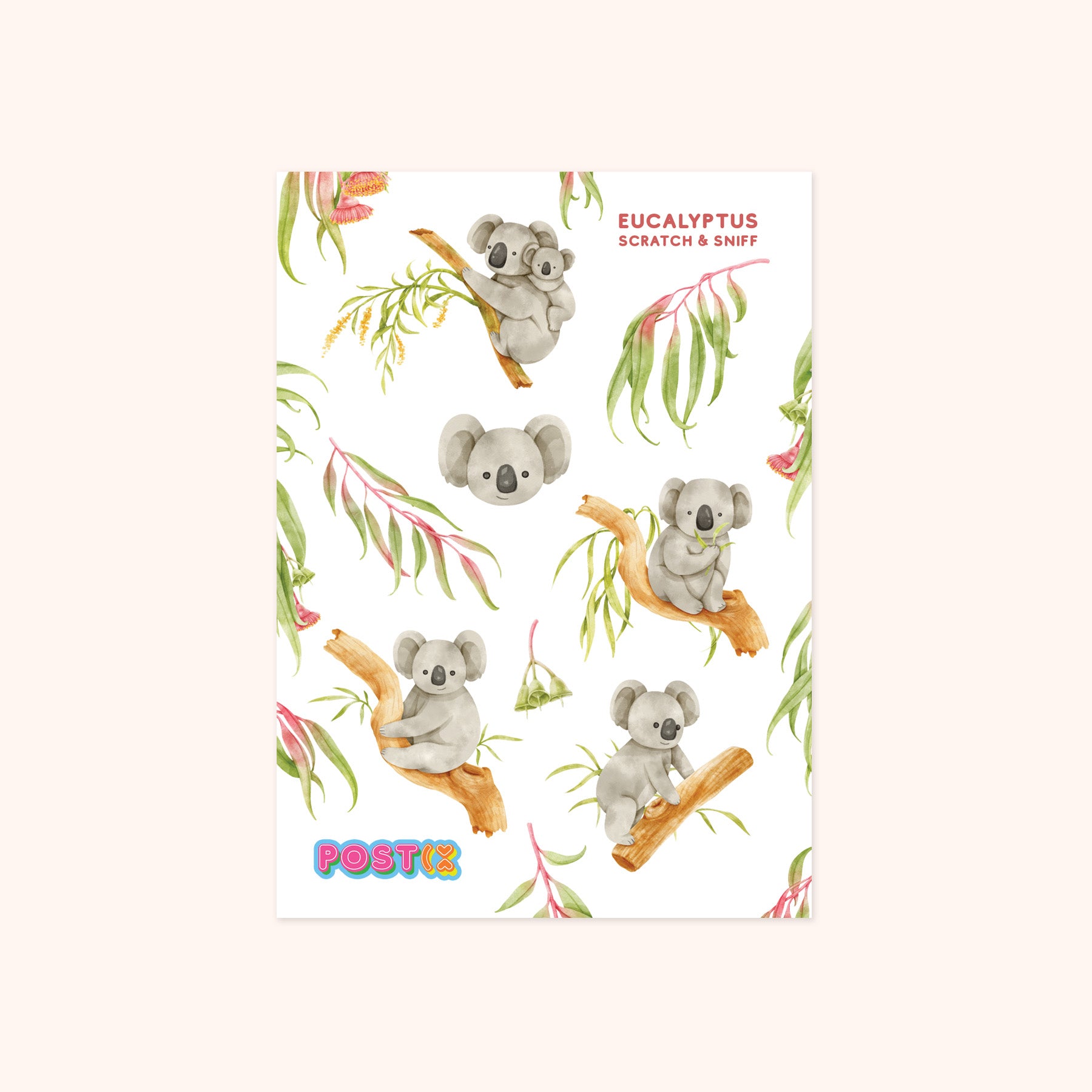 Koalas in Eucalyptus Trees A6 Scratch and Sniff Sticker Sheet